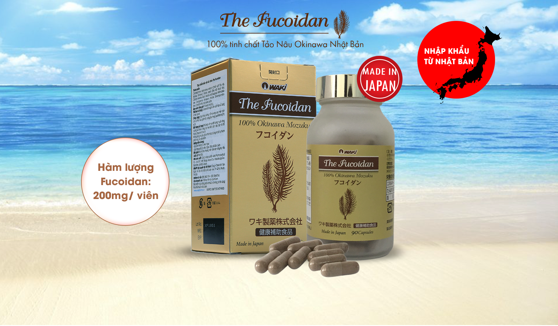 <span>Fucoidan là gì? </span><div>Fucoidan là một hoạt chất có sẵn trong tự nhiên, chủ yếu trong chất nhầy của các loại rong biển và tảo bẹ như tảo nâu Mozuku, Kombu,…Nó là một chuỗi phân tử cao polysaccharides có thành phần chủ yếu là sulfate fucose. Ngoài fucose, thành phần chính của Fucoidan cũng bao gồm cả galactose, mannose, xylose và acid uronic. </div>